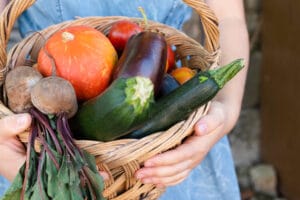 Explorez les délices du potager